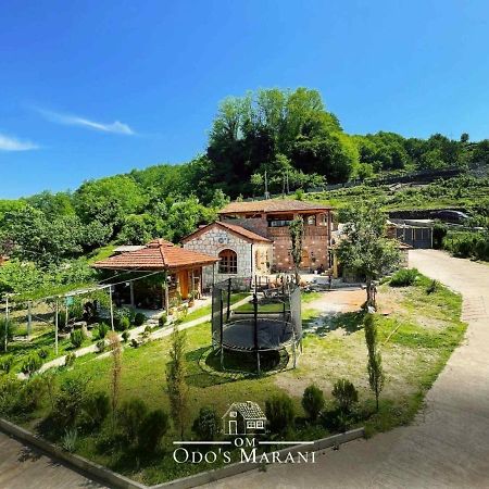 Odo'S Guest House Martvili Bagian luar foto