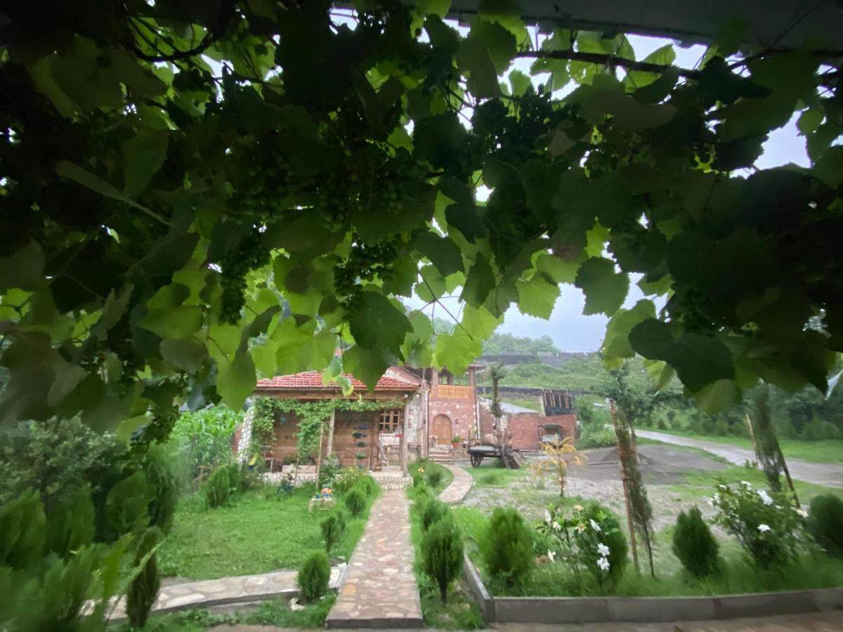 Odo'S Guest House Martvili Bagian luar foto