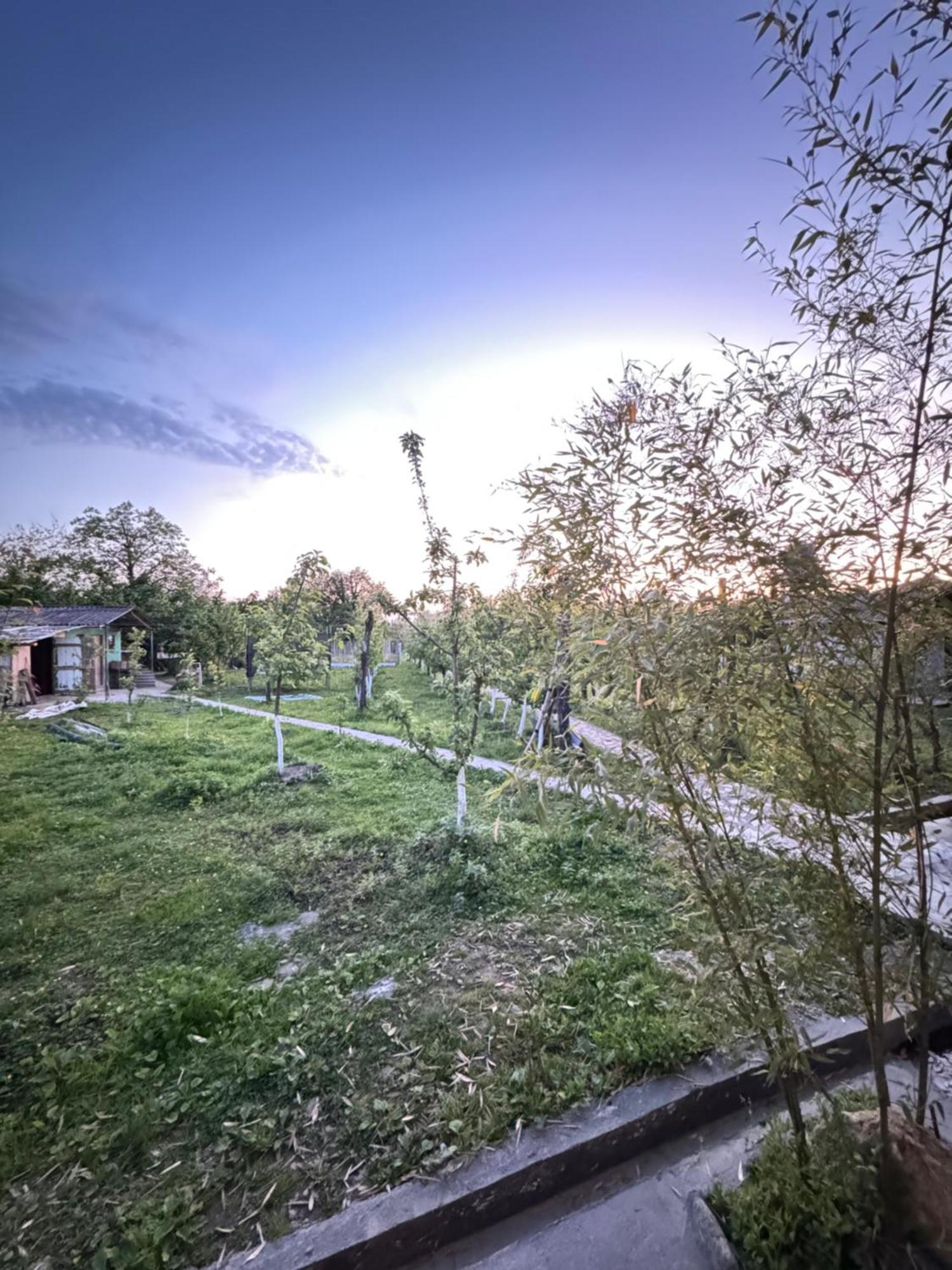 Odo'S Guest House Martvili Bagian luar foto